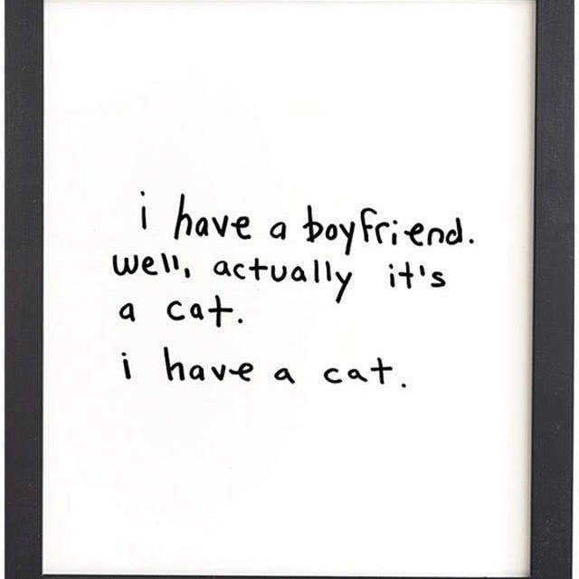 tgvluxebox's tweet photo. We saw this and just had to share! 😂 We don’t know who to credit to, but if you do - then let us know! 🐈 https://t.co/OLKpUCry7s https://t.co/Y7ycYP8ZNO