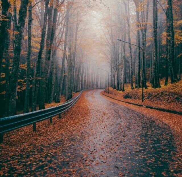 youstereotype's tweet photo. Атмосфера🍂 https://t.co/J8uU5ygmGi