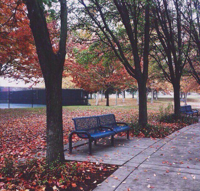 youstereotype's tweet photo. Атмосфера🍂 https://t.co/J8uU5ygmGi