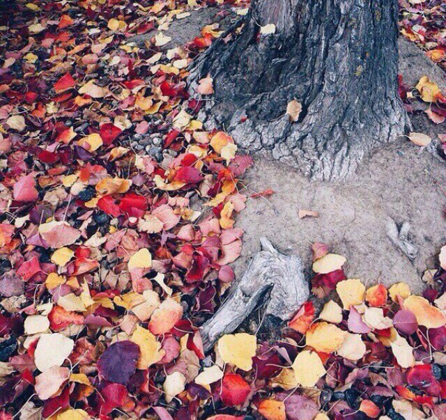 Атмосфера🍂