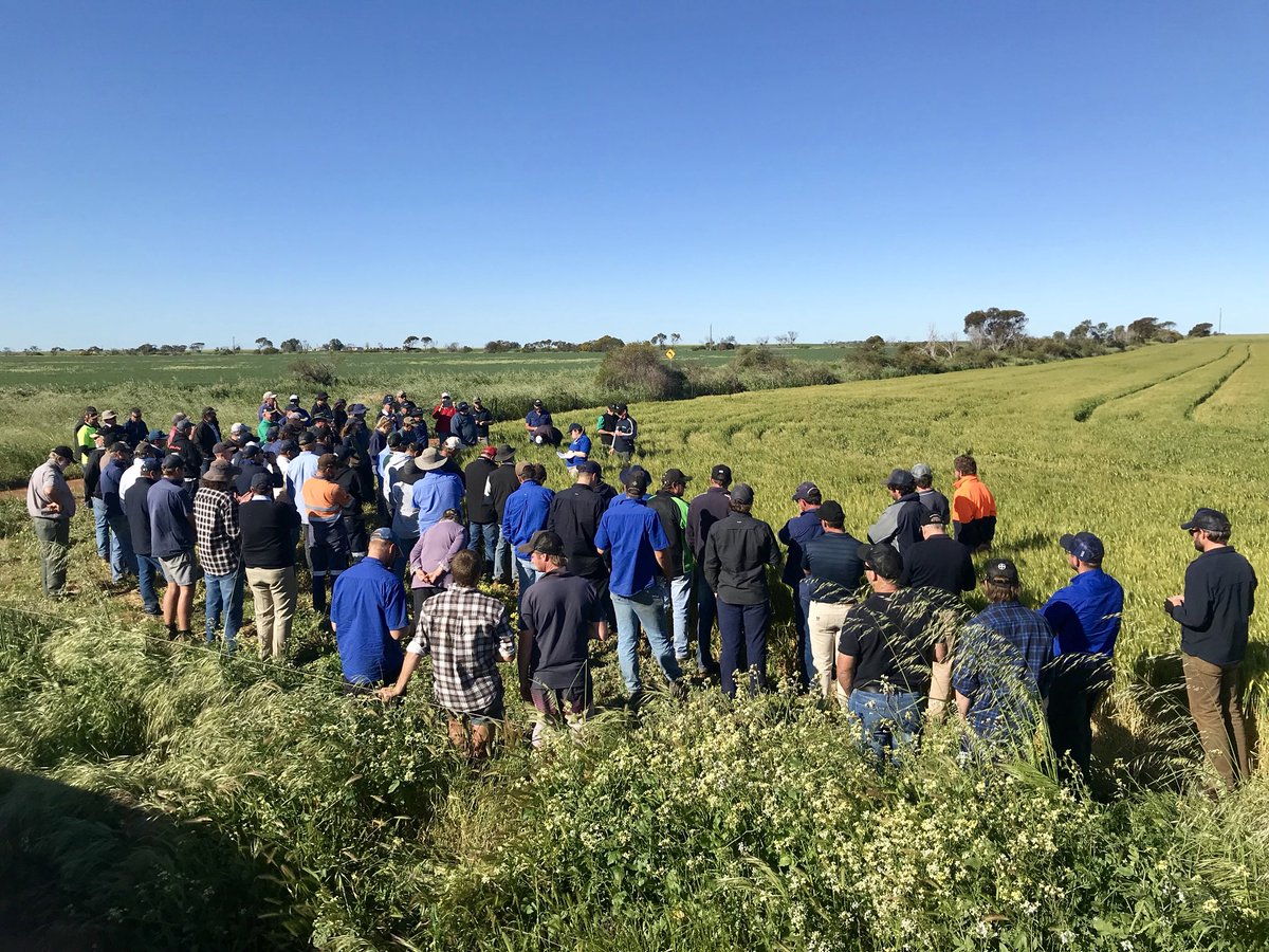 ero_green's tweet photo. #YFIGspringfieldday 2018. Last paddock stop @GreenyBrady. Well done @Mattjohno517 &amp; team https://t.co/W4ZgAfBttT