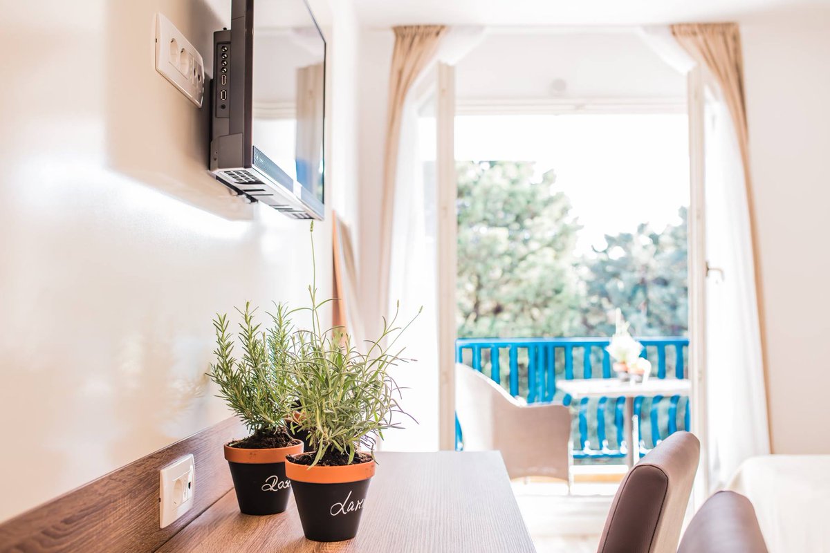 RivijeraGrupa's tweet image. 🔸Pure, #bright, #comfortable, and #warm light of #September #sun, is ideal for filling your batteries and preparing for autumn and winter time☀️🌻🍂🌬️☃️
🔸Catch it while it lasts💛🍀🍃⏳
👉 rivijera.hr/Home/ImperialE… 
~
#clearsky #harmony #paradise #rest #visitvodice #vodice