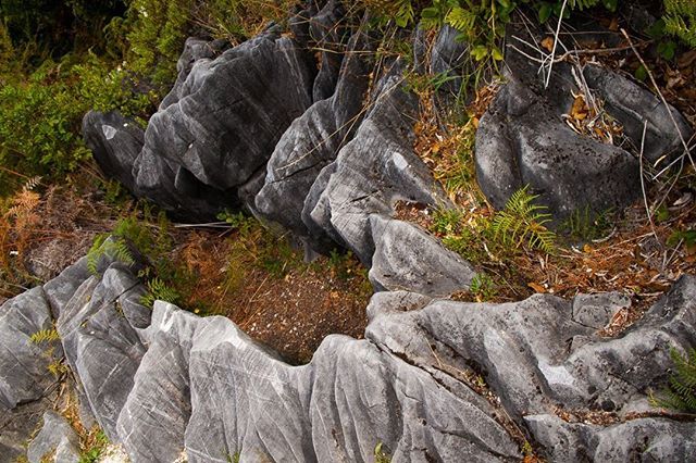 PJNZ_DE's tweet image. Auf dem Weg zum Abel Tasman National Park gibt es diese faszinierenden Felsformationen. Wo hast du schon einmal ungewöhnliche Steinformen in Neuseeland gesehen?⠀
⠀
#neuseeland #steinform #fels #felsen #pjnz #pjnzontour ift.tt/2PLsoV0