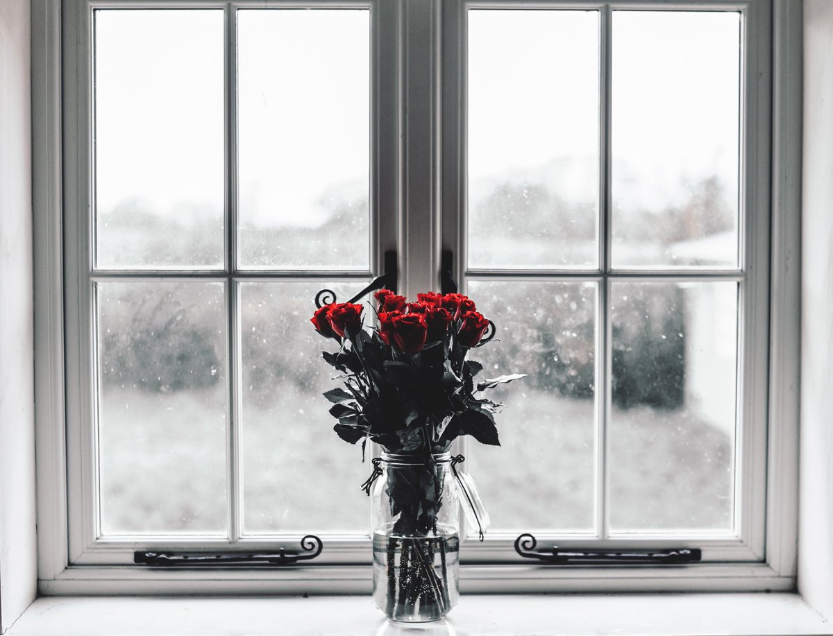 AzWalpapers's tweet photo. Rose ❤️ https://t.co/H6JsVz472G