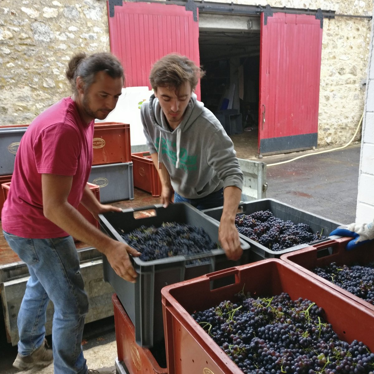 “It’s one of those harvests that you see once or twice in a lifetime”.
Thierry Laherte sums up perfectly #Harvest18 
New article by <a href="/malakunin/">Daniel Romano</a> now available on 99ChampagneApp.
Download with Google Play: bit.ly/App99Champagne2
Download with Apple Store: bit.ly/App99Champagne