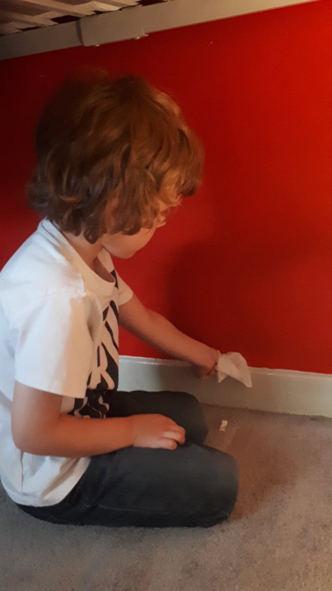 kirstyc118's tweet photo. Ethan's been super helpful over the long weekend, helping clean around the house 😁 #responsibilityvalue @eastertounps https://t.co/lujDE7zMiE