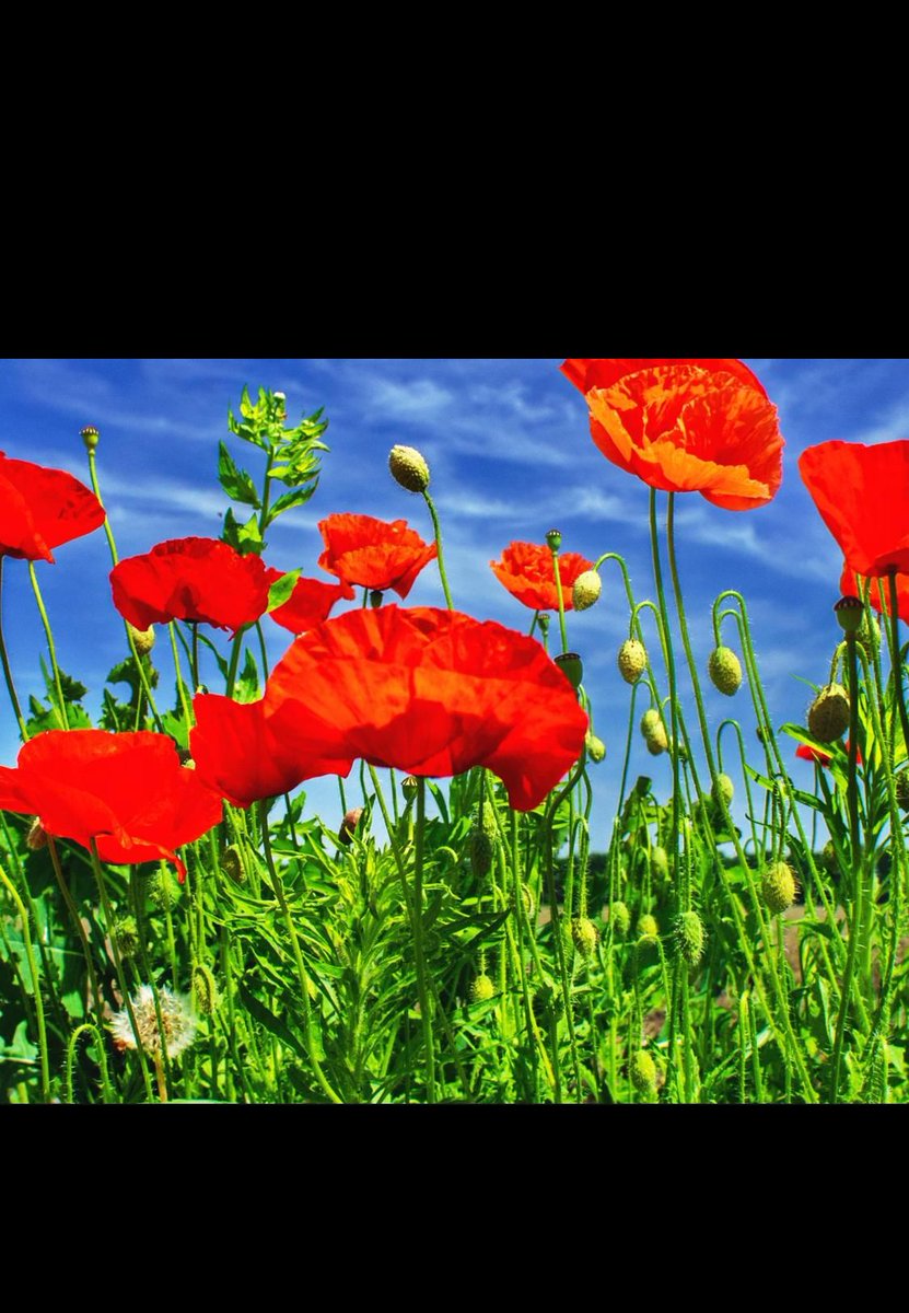 Just put our FB "event" up for our next concert - Everyone Sang. Holst, Elgar, Vaughan Williams, what a treat. Have a look! facebook.com/ElyChoralSocie…