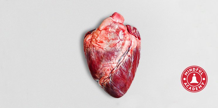 Mindfulness zihniniz kadar kalbinizi de korur. ❤️ Nasıl mı?mindfulacademy.co/mindfulness-ne…