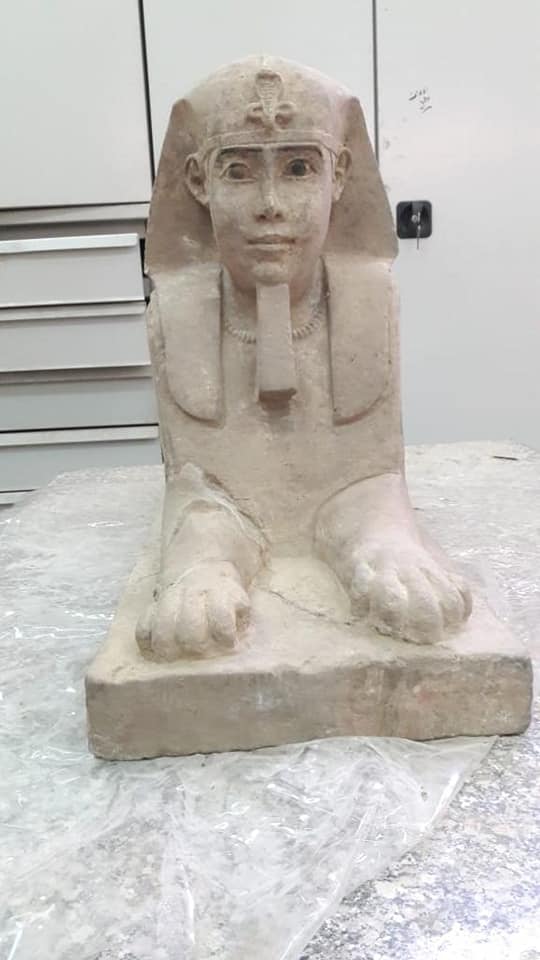 TourismandAntiq's tweet image. The Egyptian archaeological mission working on the project of reducing the groundwater level in Kom Ombo temple in Aswan uncovered a Sandstone statue of a Sphinx.
