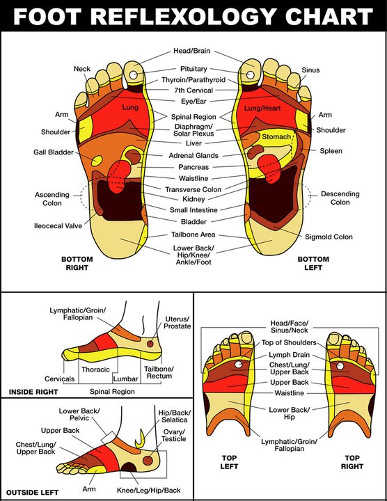 Pressure Points On Bottom Of Feet Chart