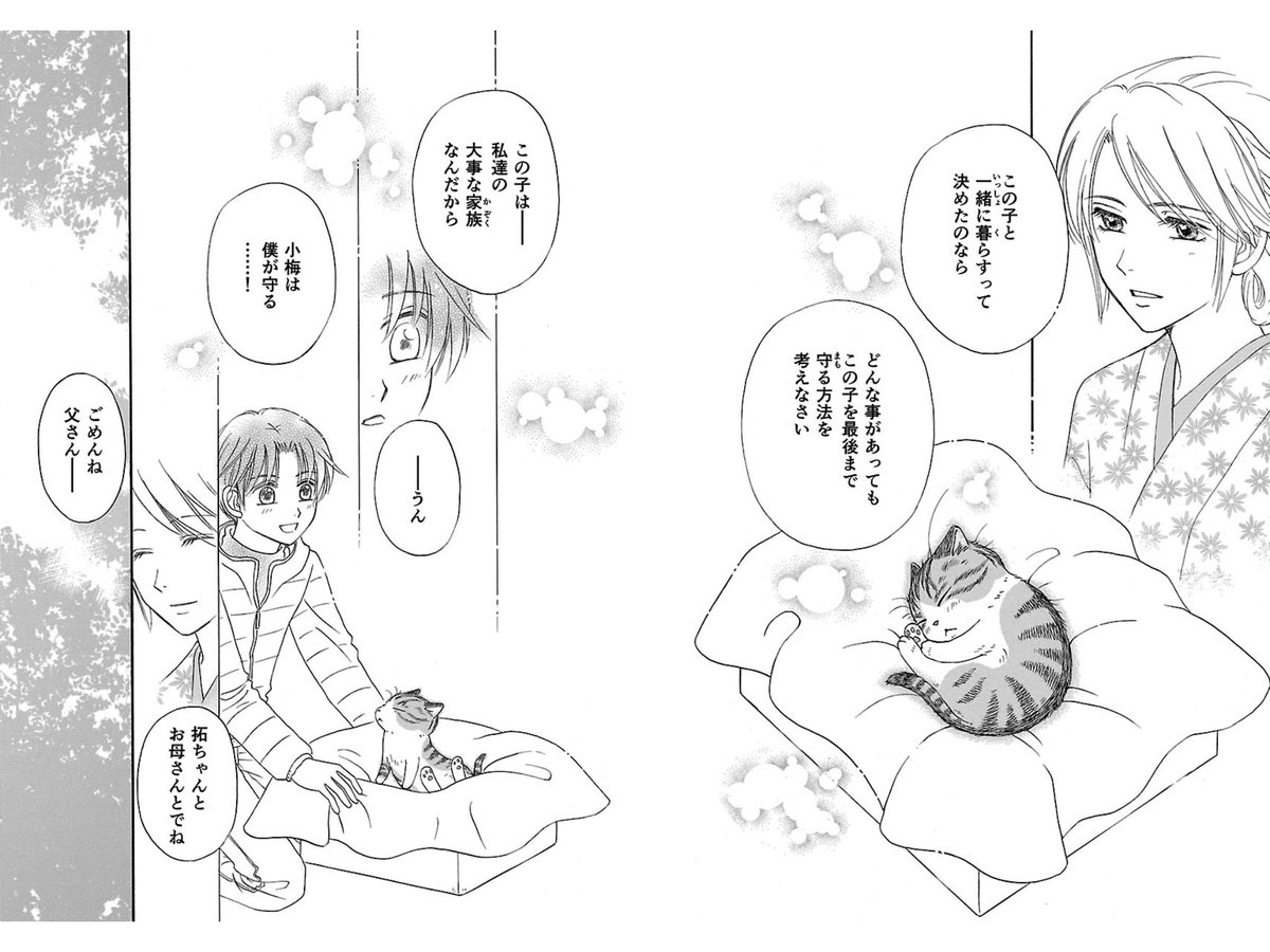 キジトラ猫の小梅さん