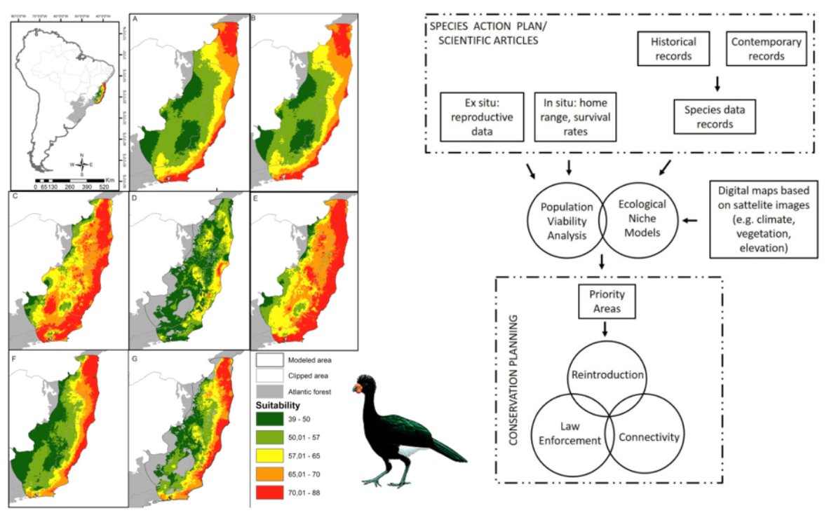 ebook metagenomics for