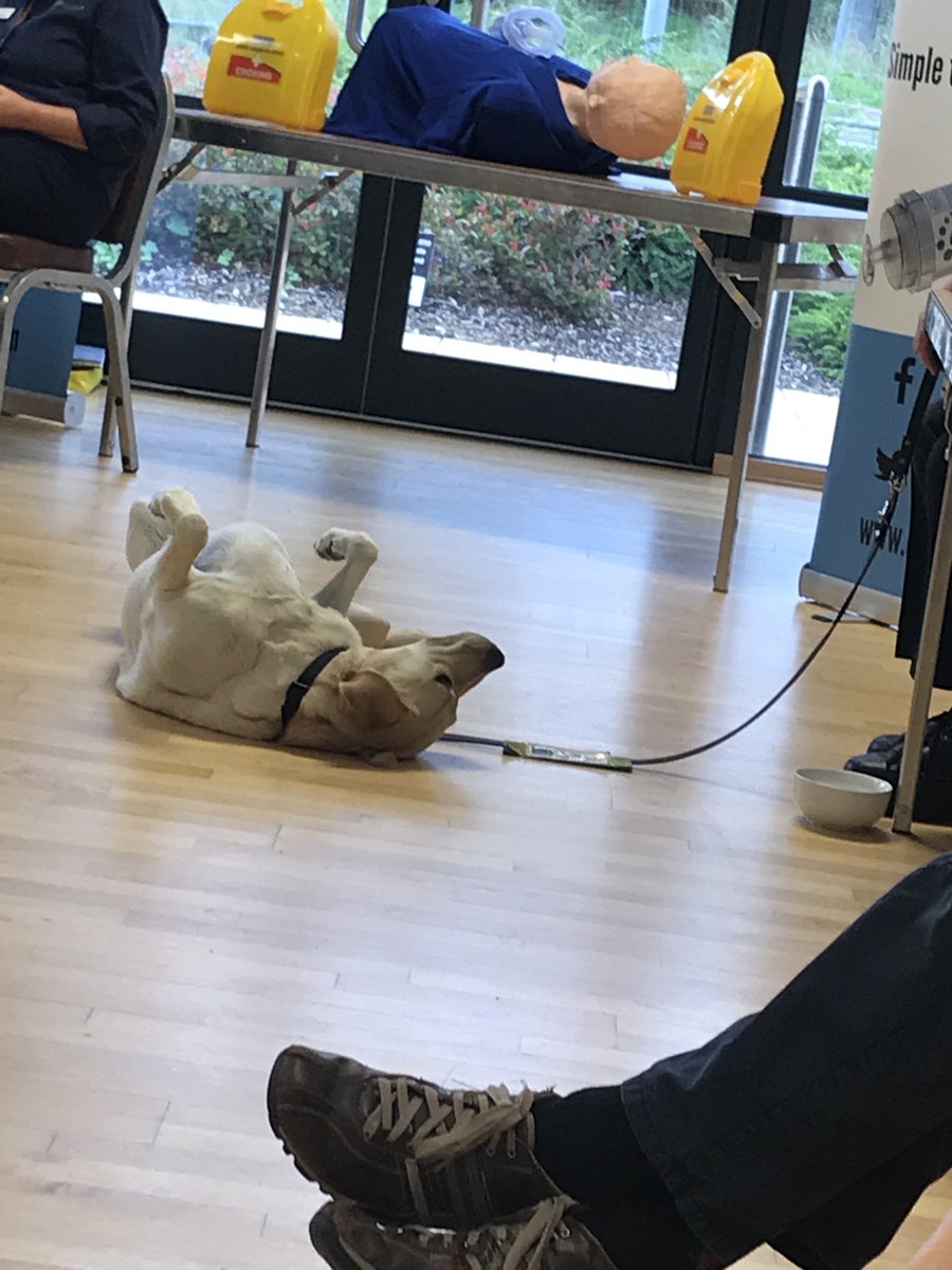 Thank you to everybody who came along to our free #epilepsy &amp; #diabetes snapshot #trainingsession yesterday in #Norwich - We hope you enjoyed it as much as Quizzy the guide dog!