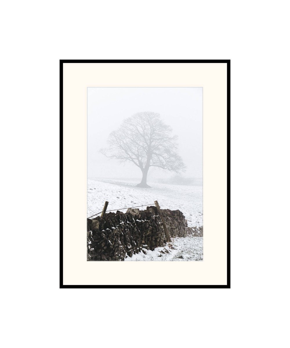 danscapephoto's tweet photo. Winter On The Farm - Old Oak Tree Countryside Photograph from the UK, Lodge Moor, Sheffield. https://t.co/eKo2epse9a #handmade #Art #print #MyNewTag #Photography #art #gift #wall art #Outdoors #SnowPrint https://t.co/yDXg2jNzMK