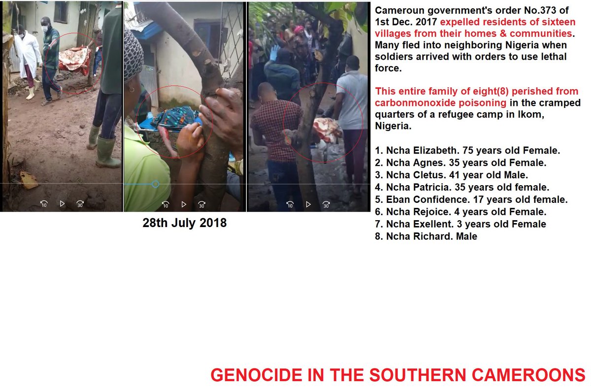 FOSC13's tweet photo. #senschumer #senbillnelson #sendavidpurdue #senatorisakson #brianschatz #MazieHirono #andreCarson #jackiewalorski #Dianabrandes #Repdonaldpayne #arne #gericke #anthonybrown #senatorburr #SouthernCameroons #genocide #GenocideinSouthernCameroons #lauterpacht #HRCttee @MireyaAguero https://t.co/aPhsGCFAmC