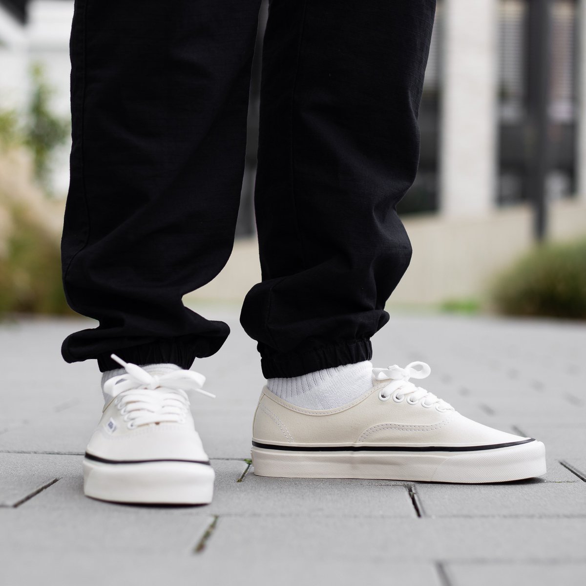 vans authentic 44 dx classic white