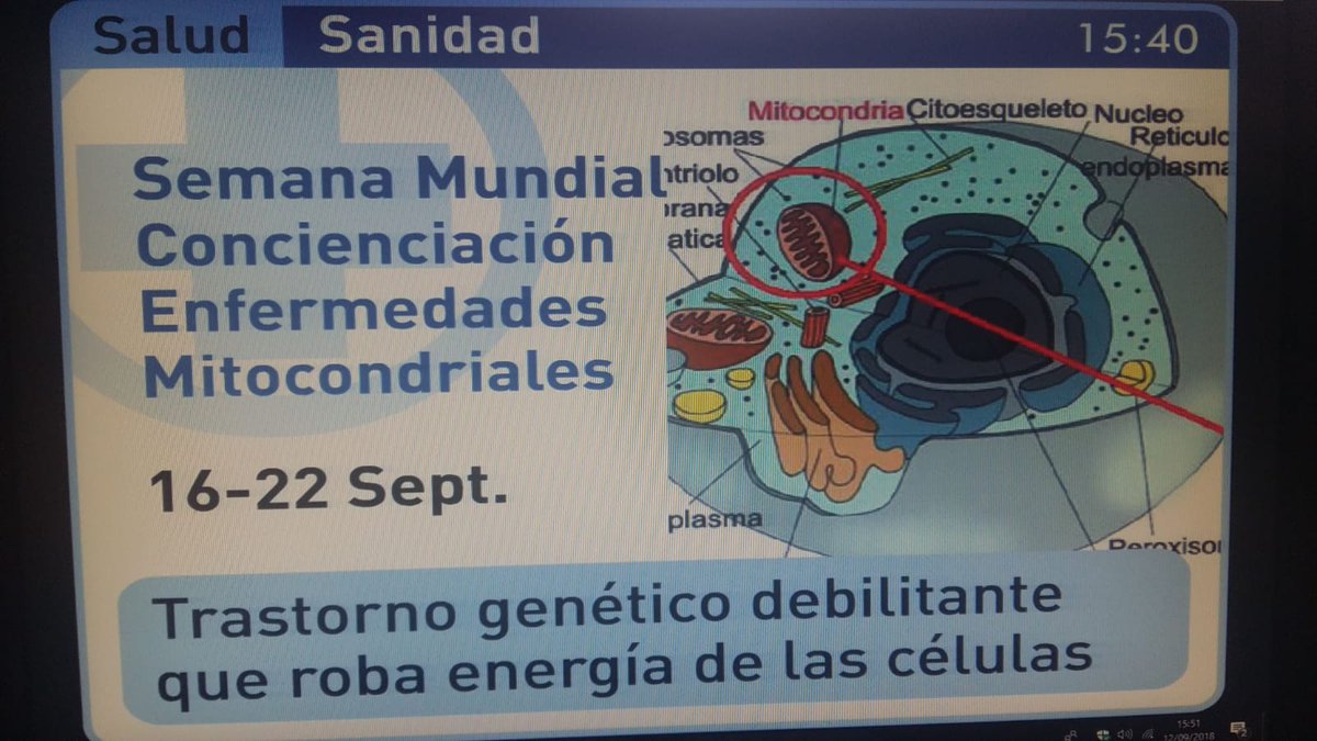 AEPMI's tweet photo. ☑️Durante esta semana se informará de las #enfermedadesmitocondriales en las pantallas de los autobuses urbanos #tussam de Sevilla por la Semana Mundial de Concienciación de las Enfermedades Mitocondriales 💚📣 #GMDAW18 #lightupformito @Ayto_Sevilla https://t.co/ngfC1mYYq8
