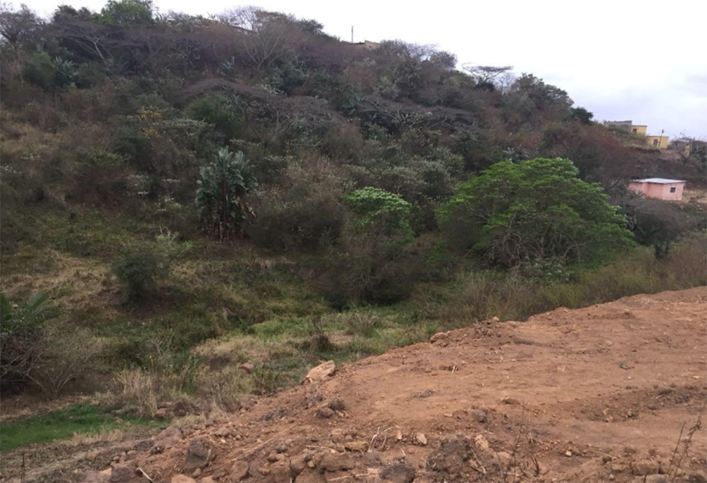 propertInSA's tweet photo. Vacant Land / Plot for Sale in Lovu
Huge piece of land located at Lovu next to a section. You can build your dream house!!!!!
Erf Size: 600 m²
https://t.co/eyudT4log8
#sale #vacant #land #Durban #Property https://t.co/8BWtK0aAkC