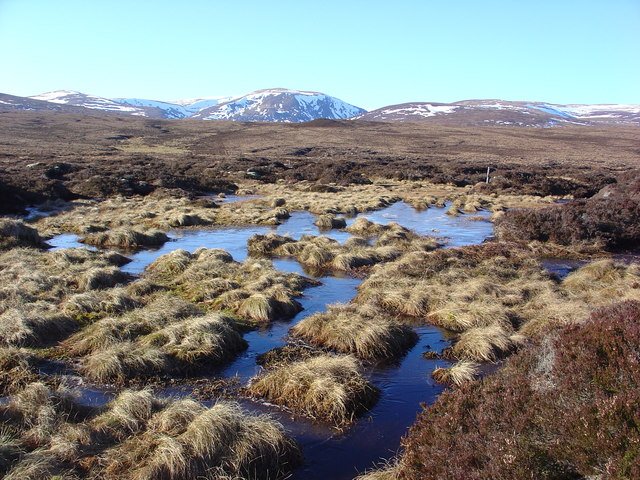 > @UNBiodiversity's #AichiTarget 15: By 2020, ecosystem resilience & contribution of biodiversity to carbon stocks have been enhanced, through conservation and restoration, including restoration of at least 15% of degraded ecosystems #WetlandRestoration #Rewetting