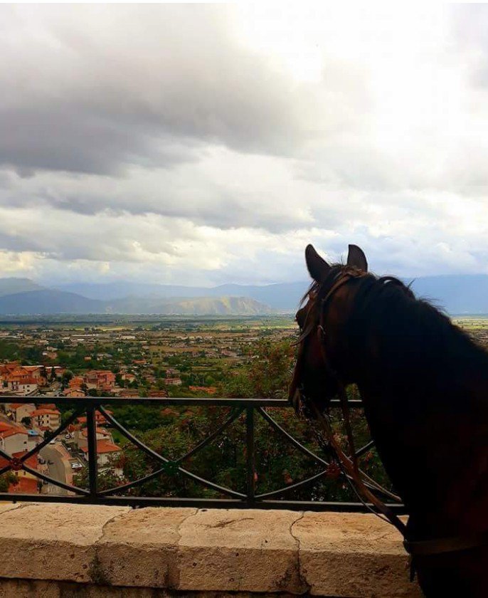 "Un cavallo! Un cavallo! Il mio regno per un cavallo!" (Shakespeare è passato in Piazza Regina Margherita) 😆Foto di Daniela Santilli <a href="/YourAbruzzo/">Visit Abruzzo</a> <a href="/paesaggiabruzzo/">Paesaggi d'Abruzzo</a> <a href="/Italia/">Italia.it</a> <a href="/ENIT_italia/">ENIT S.p.A. 🇮🇹</a> <a href="/italiaapiedi/">Italia a piedi</a> <a href="/borghi_ditalia/">Borghi d'Italia</a> <a href="/paesionline/">PaesiOnLine</a> <a href="/NewYorkItalians/">New York Italians</a> #Abruzzo @blindocostanzo