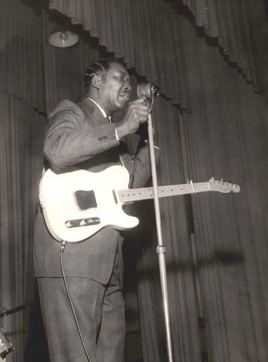 muddyofficial's tweet photo. Muddy Waters in the UK 1958
Photo Courtesy of Doug Lohnes https://t.co/wi9NdosBAx