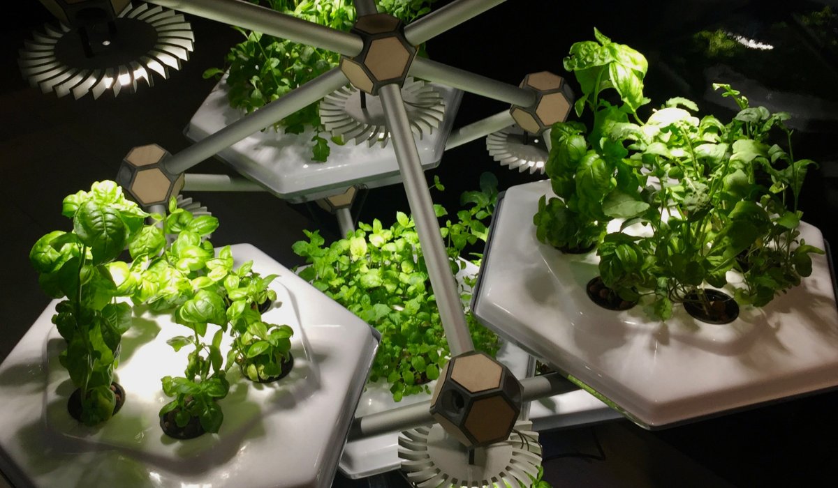 Da domani fino a venerdì ci troverete a <a href="/FlormartPadova/">Flormart</a> al padiglione 15
Avremo uno stand tutto dedicato al #verticalfarming e potrete fermarvi per una tisana aromatica raccogliendo le erbe direttamente dai nostri #livingfarmingtree

buff.ly/2DcGSeS