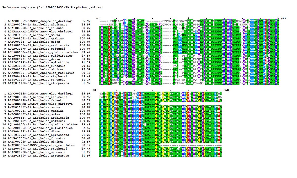 VBannotator's tweet image. LL1, lipopolysaccharide induced TNF alpha transcription factor 1. 1 novel, 2 edits. Partial prediction for the usual suspects #christyi &amp;amp; #maculatus. #Anopheles #VBannotation