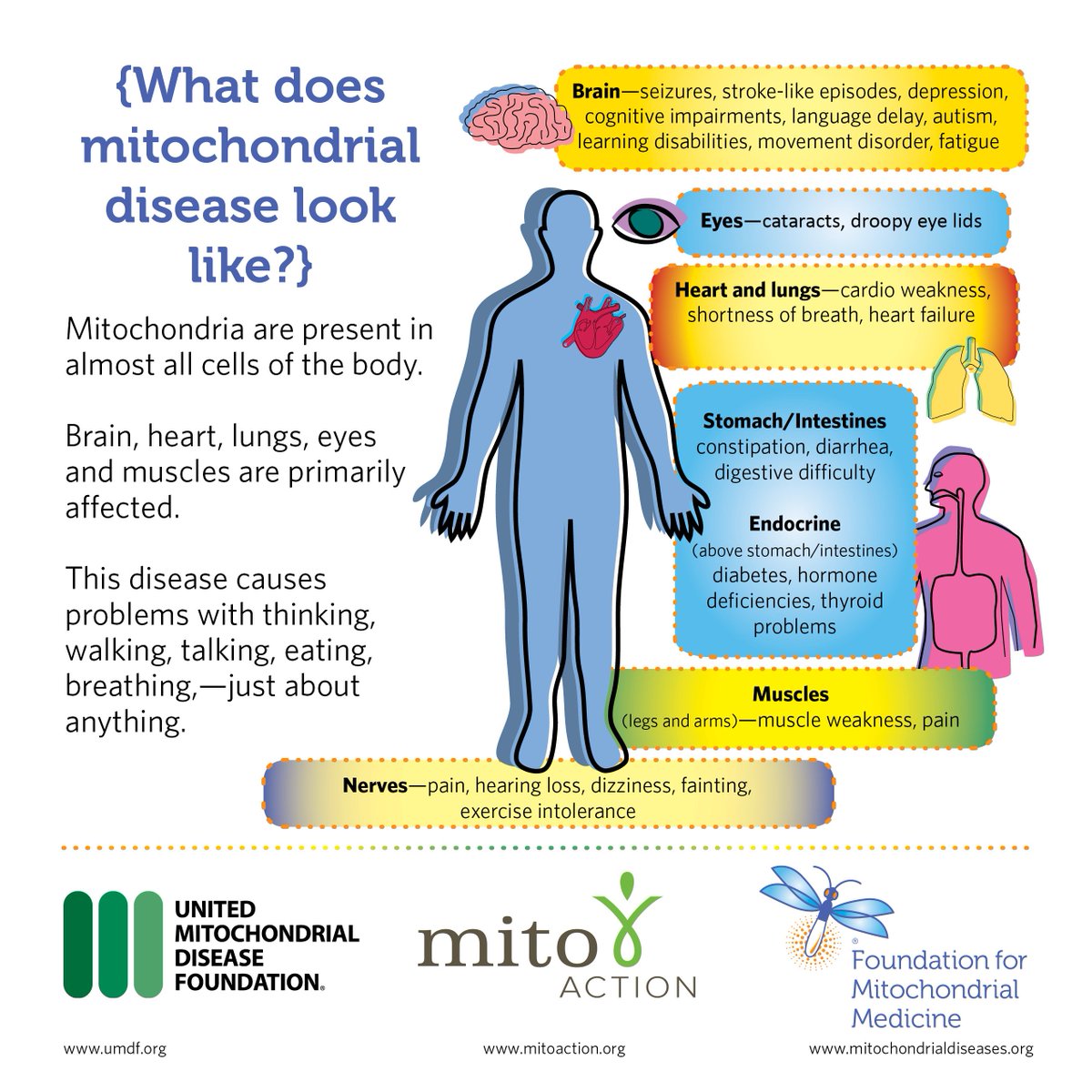 Mitochondrial Disease news word
