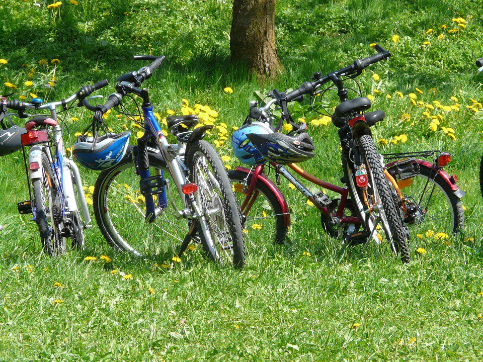 Be more active on your holiday to #NorthWales and head out for a family #bikeride on one of these fantastic routes! lyonsholidayparks.co.uk/single-post/20…