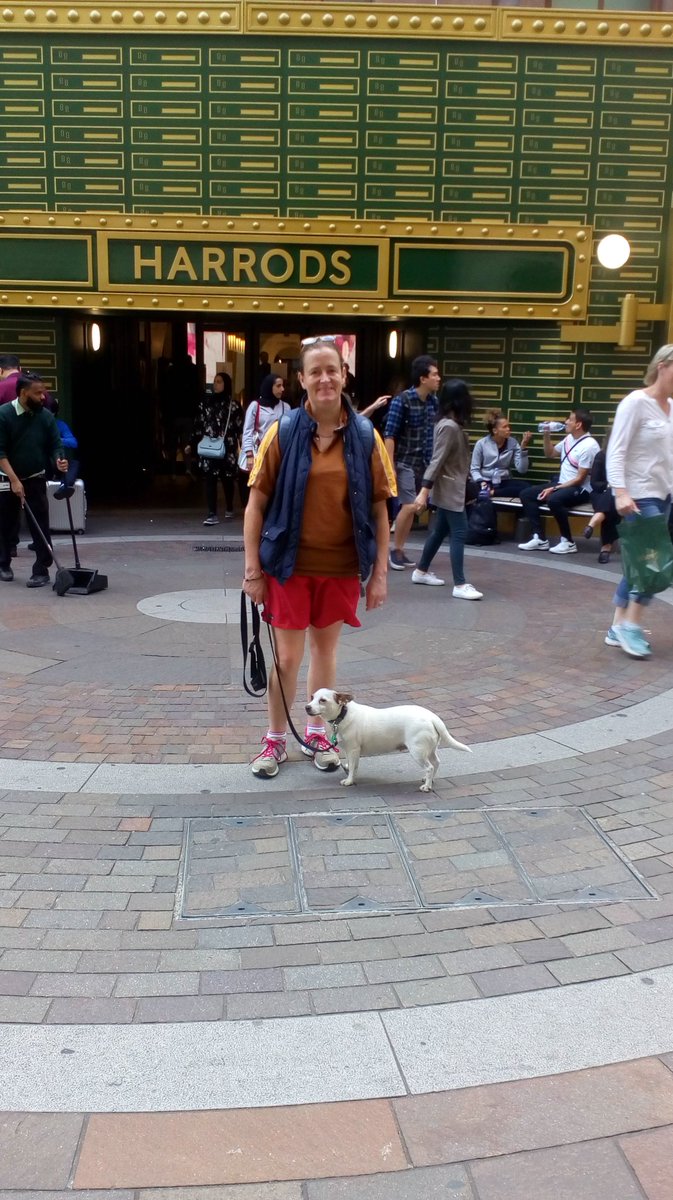 logo_lily's tweet photo. Today my mum took me for a walkie to our local corner shop! I wasn't allowed to go in to buy treats though! #LondonDogs #dogsoftwitter #dogsofLondon #poshpaws @Harrods https://t.co/BlXiY0Fzm6