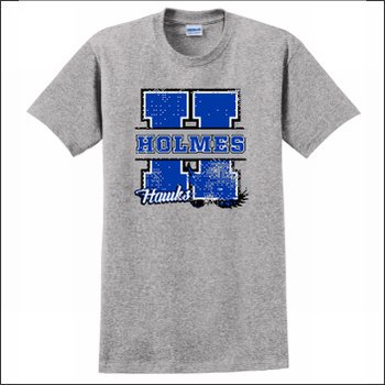 HolmesMSPTA tweet media