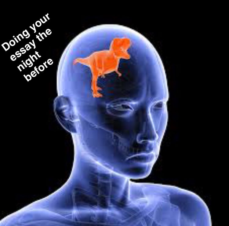 DominionWriting's tweet image. Modern intellectuals.