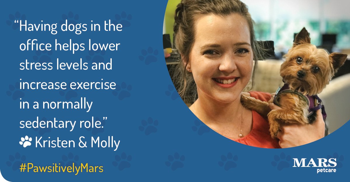 MarsPetcareUS's tweet photo. Why do #PetsWorkAtWork? "They help lower stress levels and increase exercise in a normally sedentary role," says our Associate Kristen. Molly the #Yorkie comes to work with Kristen every day. #PawsitivelyMars https://t.co/auSBi5xq14