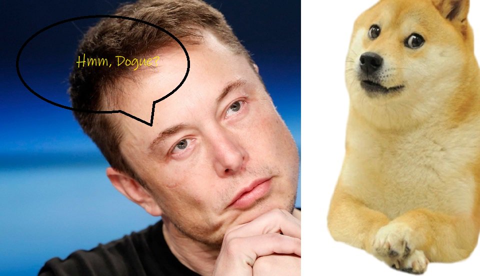 yicaichina's tweet image. The debate rages on - How do you pronounce #Doge ? As in #dogecoin  ,the #meme. I plump for 'dogue'', as in #Vogue.  Inquiring minds want to know. @elonmusk @dogecoin