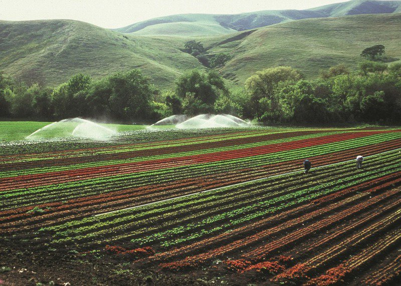 SenatoStampa's tweet photo. #CompartoAgricolo e #agroalimentare. In Commissione Agricoltura audizione informale UNCI Agroalimentare, #UECOOP, Associazione piscicoltori italiani, UNICOOP PESCA, Associazione marinerie, Associazione #Pescatori #Marittimi e Impresa pesca Coldiretti: https://t.co/WgEdol5wir https://t.co/UakwE0nP6C