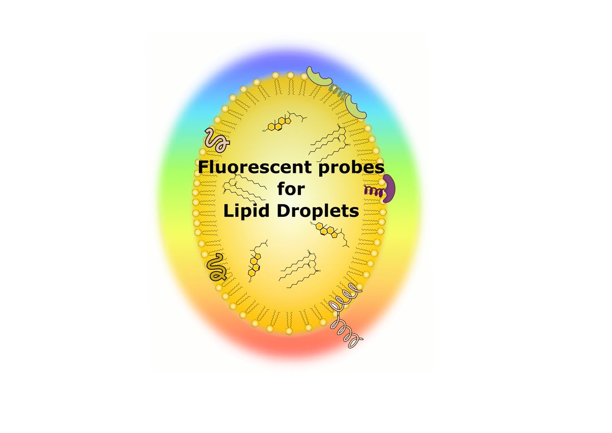pdf The Physics of Granular