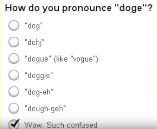 yicaichina's tweet image. The debate rages on - How do you pronounce #Doge ? As in #dogecoin  ,the #meme. I plump for 'dogue'', as in #Vogue.  Inquiring minds want to know. @elonmusk @dogecoin