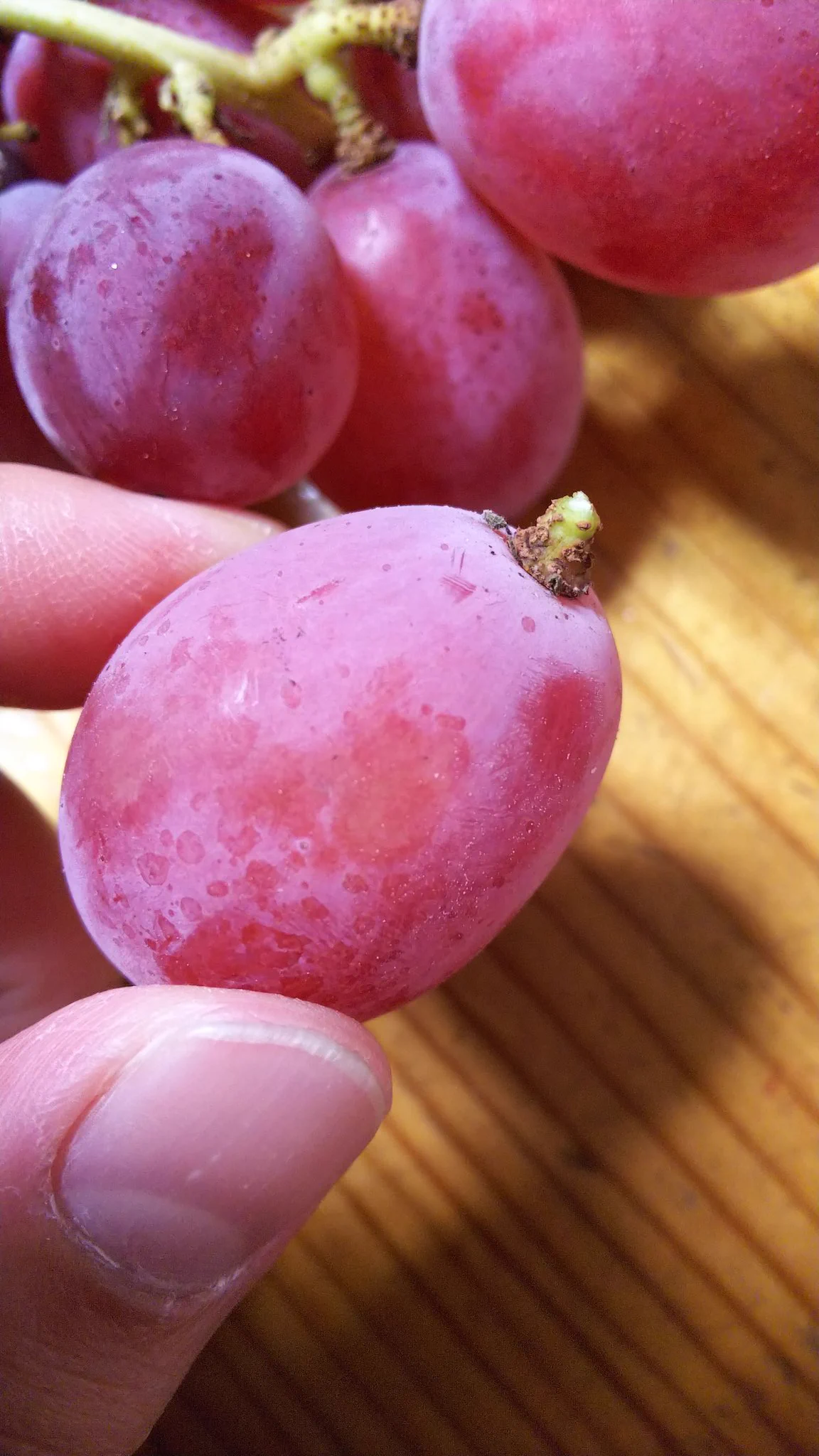 ぶどうの豆知識！持ちをよくするひと手間！！