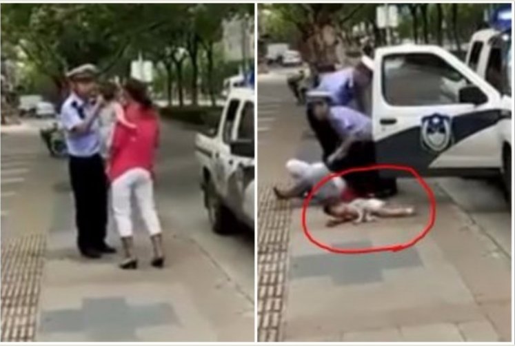 lazydjay's tweet image. 中国政府说瑞典警察粗暴，没人权，14亿中国人民都笑了💀👽☠️🎃😸😸😸