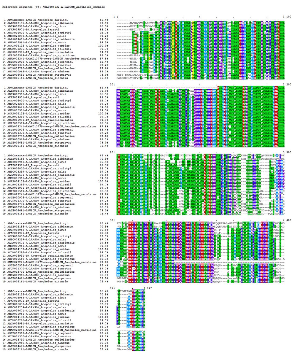 VBannotator's tweet image. Osi10, protein osiris 10. 1 novel, 12 splits, 3 edits and one locus split over scaffolds (maculatus). 2 loci are partial (darlingi &amp;amp; maculatus). #Anopheles #VBannotation