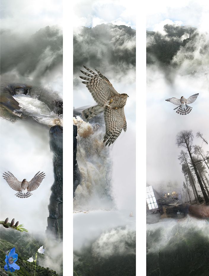 *Member Spotlight*

Karen Melvin "I use #photography, #painting, and hand made books to express ideas about the #environment, #memory, #relationships and my responses to them."

Find out more here - buff.ly/2x2bBGn