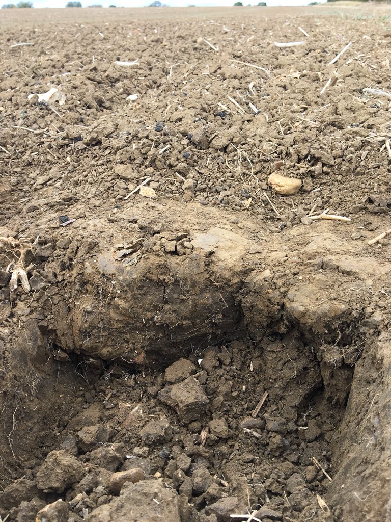 Agronomist_bri's tweet photo. Looks can be deceiving whilst scratching around on some OSR stubble. Seedbed ontop but what lies beneath not so good #scratchandgo #harvest19 https://t.co/IuqOE7D17d