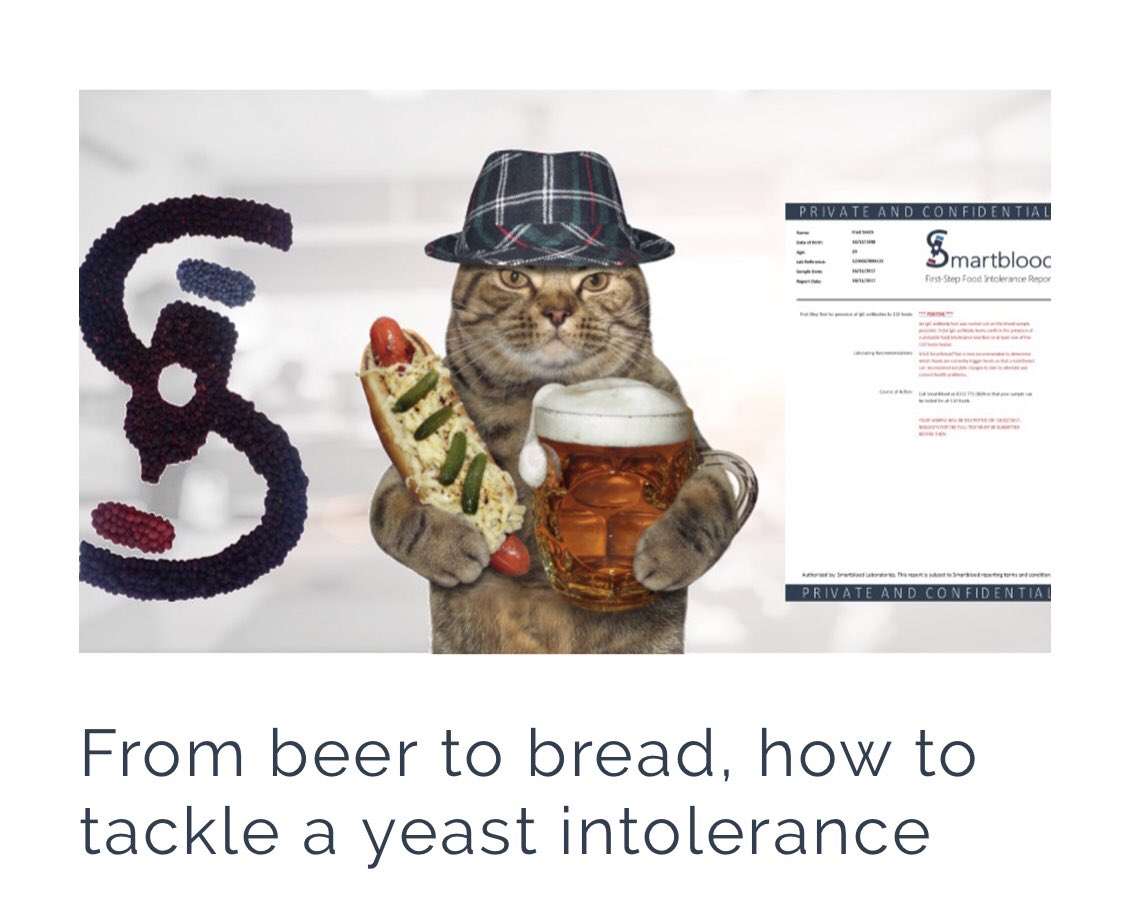 smartblooduk's tweet photo. Our latest article looks at one of the trickiest food reactions to avoid...Yeast! Find out more by viewing our website (link in bio) https://t.co/hJqq2J64Al