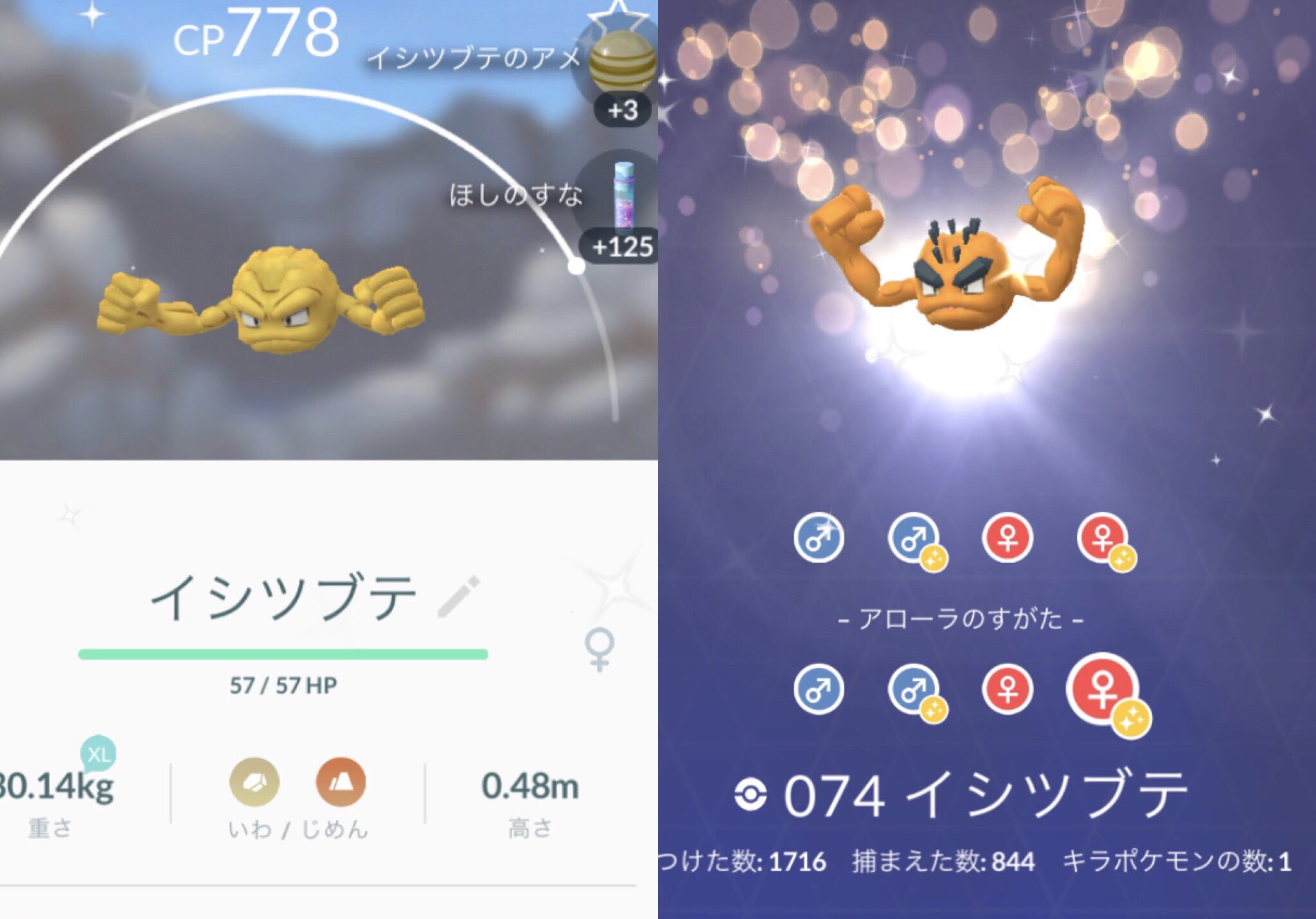ひかぴか 金イシツブテ ๑ ๑ 色違い実装後に608タップでした アローラだと色が濃いのですね ポケモンgo Pokemongo 色違いポケモン Shinypokemon 色違いイシツブテ T Co Cxeceocrcy Twitter