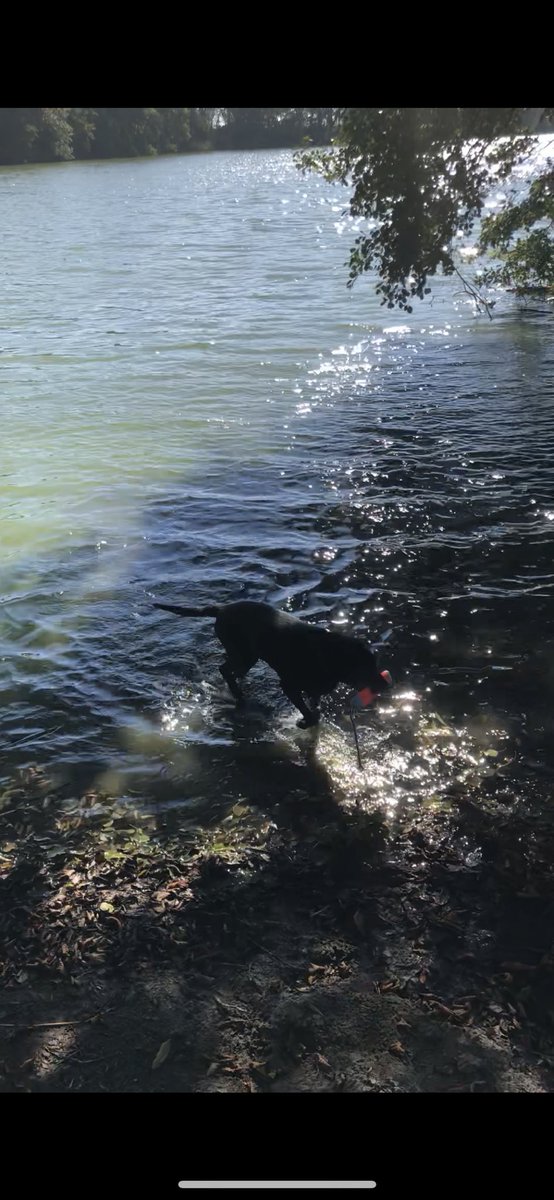 Matthias_C 📯 tweet media