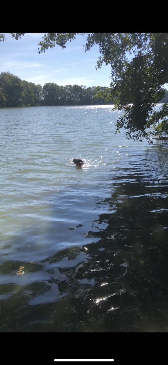 Matthias_C 📯 tweet media