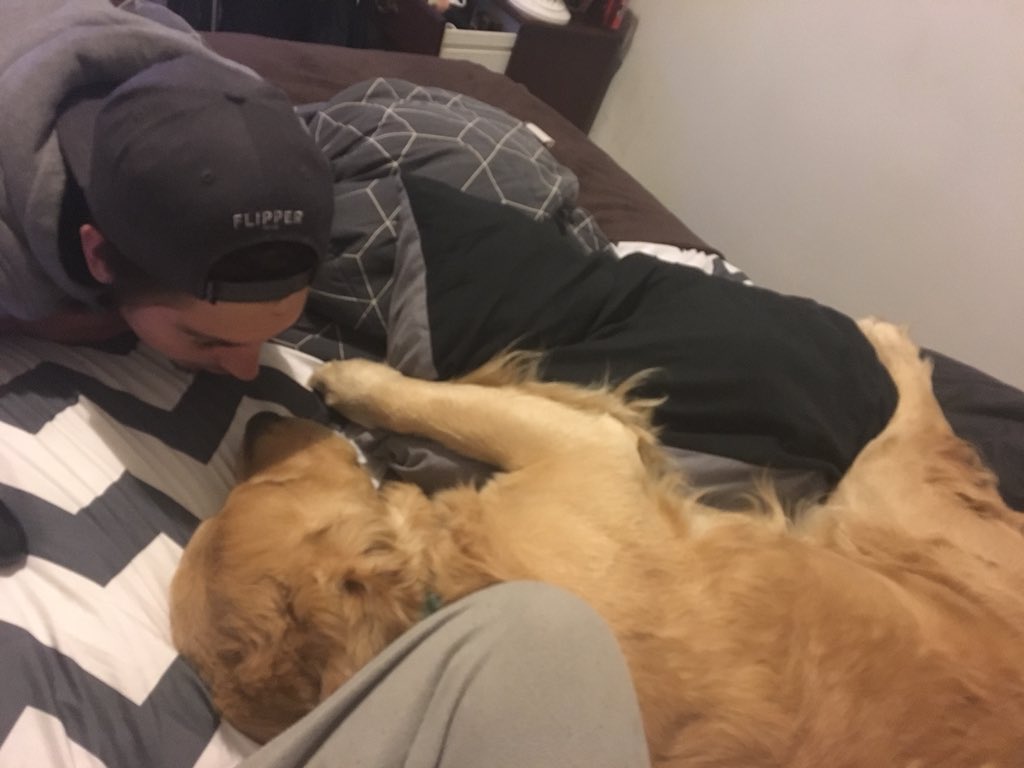 Chelsea on Twitter "The boyfriends dog is spooning a pillow whilst said boyfriend gives him