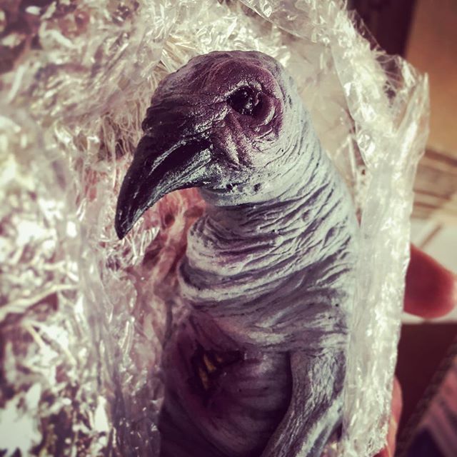 cthulhu_project's tweet photo. Packaging #mountainsofmadness #albinopenguin #penguin #atthemountainsofmadness #lovecraft #sculptures #sculpture #props #handpainted #resin #monster #hpl #lovecraftian #hplovecraft #cthulhu #callofcthulhu #kickstarter #fulfillment #work #cthulhushop with #themonsterbox by #cโฆ https://t.co/HaPOMEVPDx