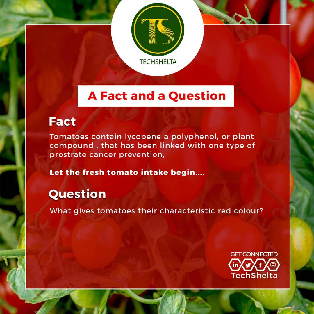 TechShelta's tweet image. Thoughts from a Wise Plate.

Hi, Guys its time for TS Questions&amp;amp;Facts. 
Answer the question and get a surprise for yourself!!!!!!!

#TechShelta #TS Q&amp;amp;F