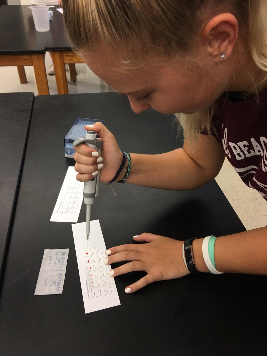 MrsGeorgeOJR's tweet photo. Learning to use micropipettes in genetics class today! #ojrscience https://t.co/wdLmPU8lth